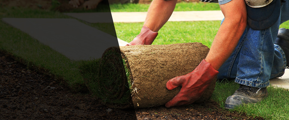Westby Landscapers